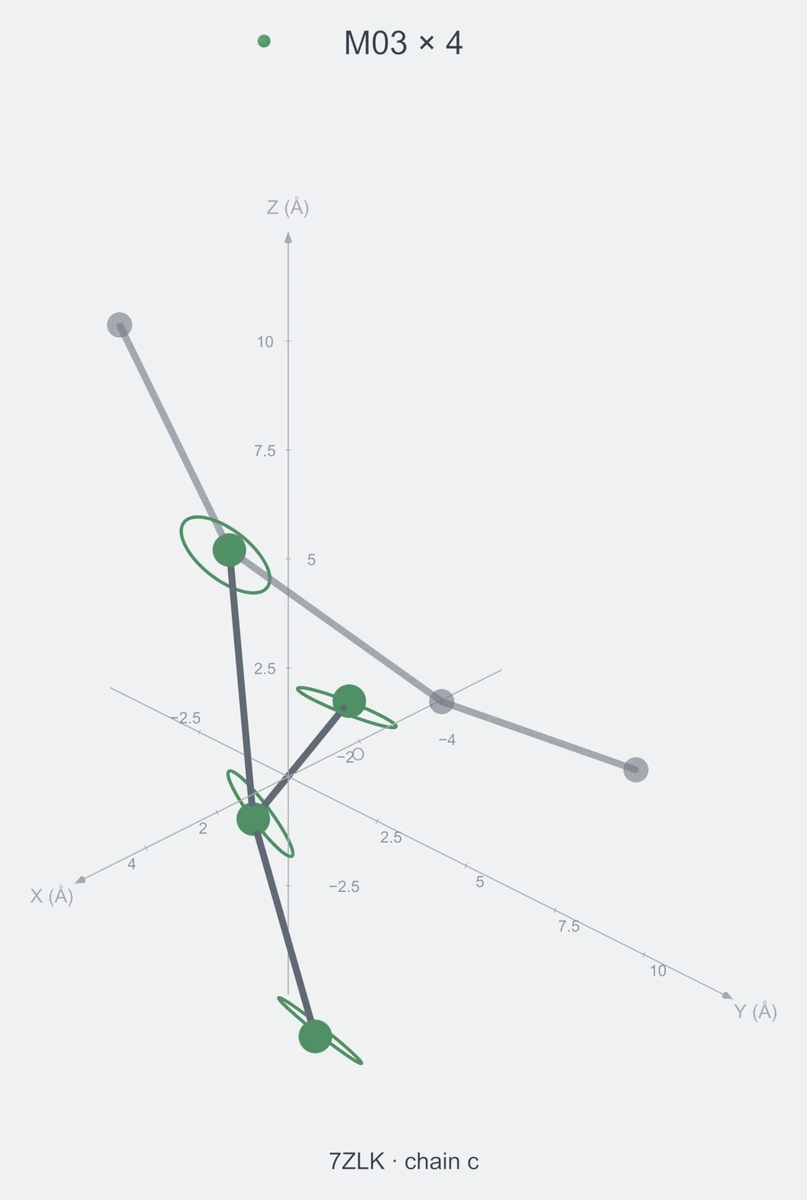 homo / branch04 / Rank 02 · M03 × 4，1 个完整糖链结构的叠加图，含 XYZ 坐标轴