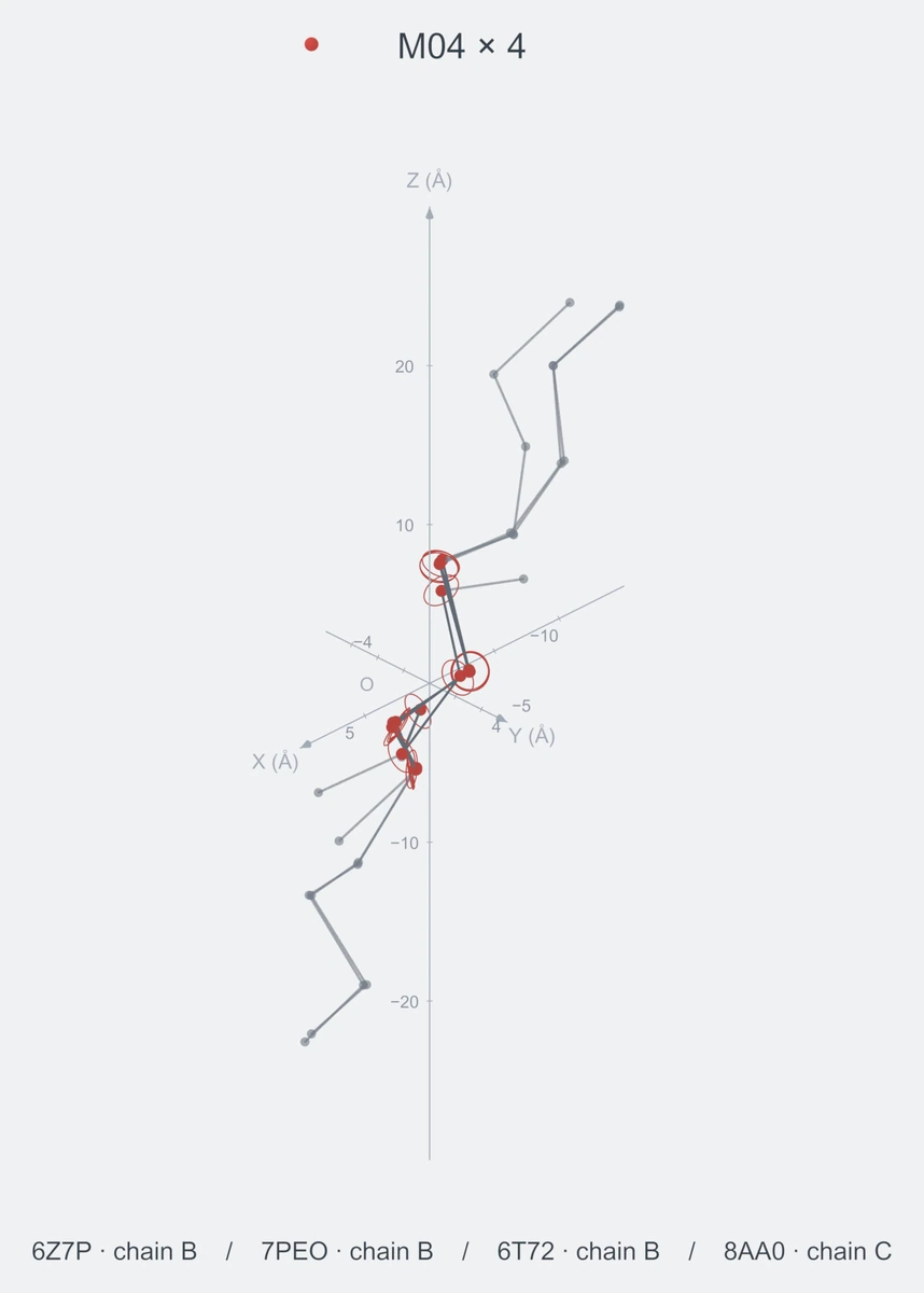homo / path04 / Rank 06 · M04 × 4，4 个完整糖链结构的叠加图，含 XYZ 坐标轴