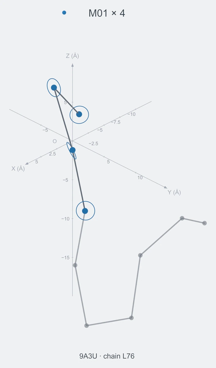 homo / path04 / Rank 08 · M01 × 4，1 个完整糖链结构的叠加图，含 XYZ 坐标轴