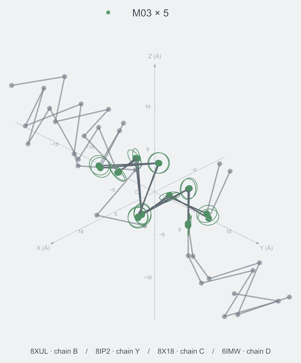 homo / path05 / Rank 04 · M03 × 5，4 个完整糖链结构的叠加图，含 XYZ 坐标轴