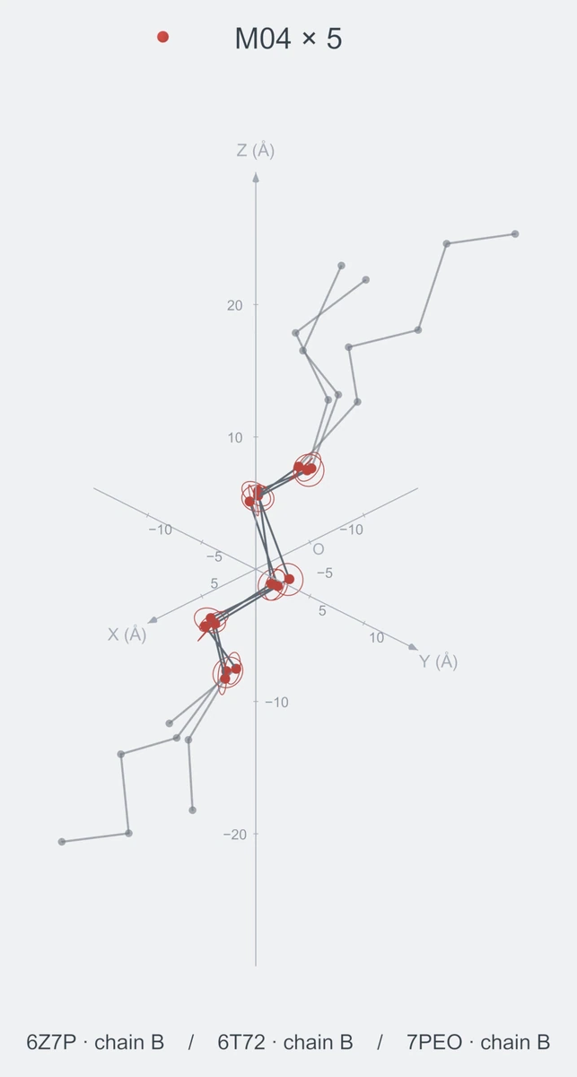 homo / path05 / Rank 05 · M04 × 5，3 个完整糖链结构的叠加图，含 XYZ 坐标轴