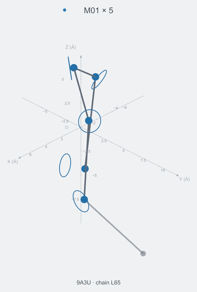 homo / path05 / Rank 07 · M01 × 5，1 个完整糖链结构的叠加图，含 XYZ 坐标轴