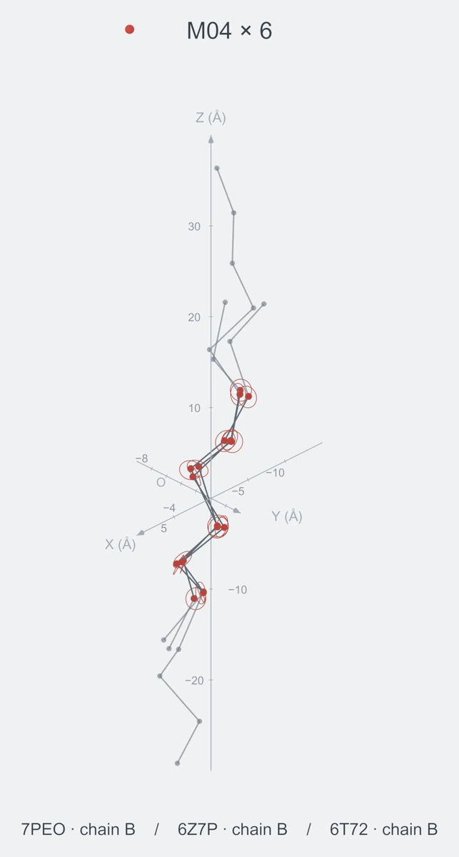 homo / path06 / Rank 03 · M04 × 6，3 个完整糖链结构的叠加图，含 XYZ 坐标轴