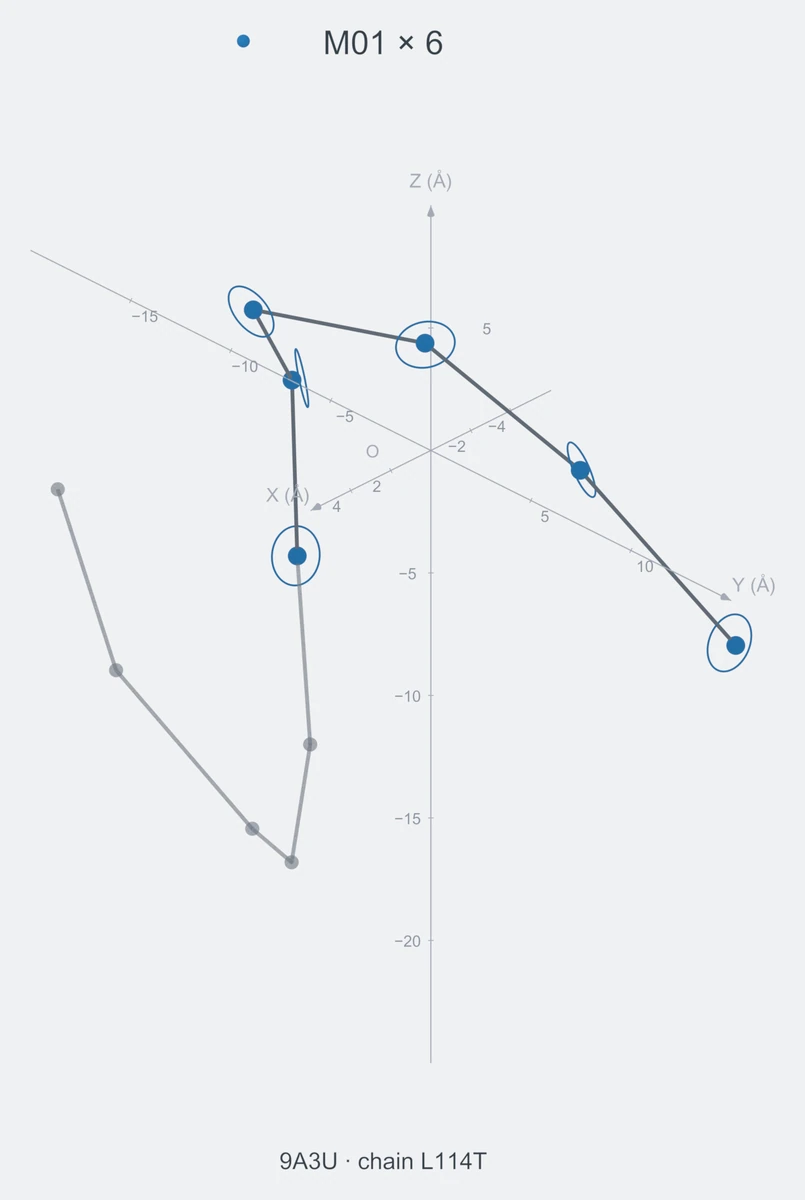 homo / path06 / Rank 06 · M01 × 6，1 个完整糖链结构的叠加图，含 XYZ 坐标轴
