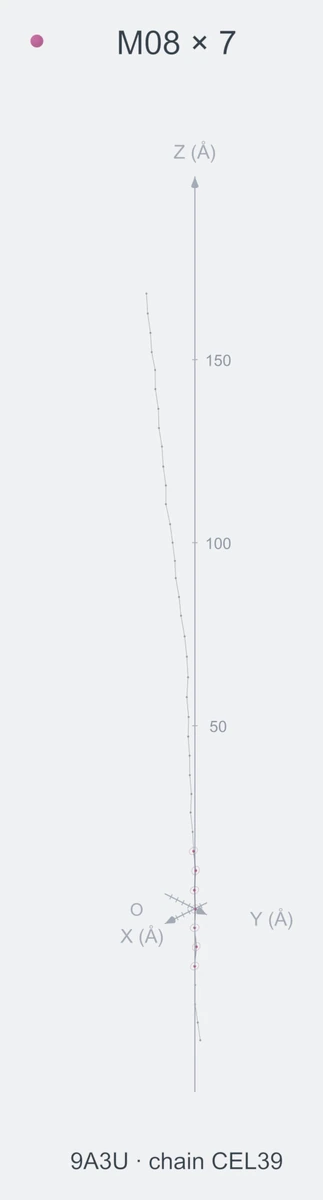homo / path07 / Rank 03 · M08 × 7，1 个完整糖链结构的叠加图，含 XYZ 坐标轴