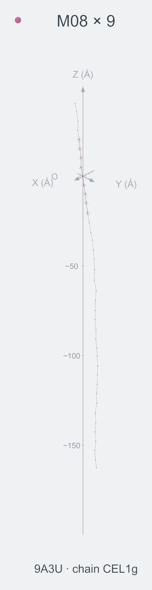 homo / path09 / Rank 01 · M08 × 9，1 个完整糖链结构的叠加图，含 XYZ 坐标轴