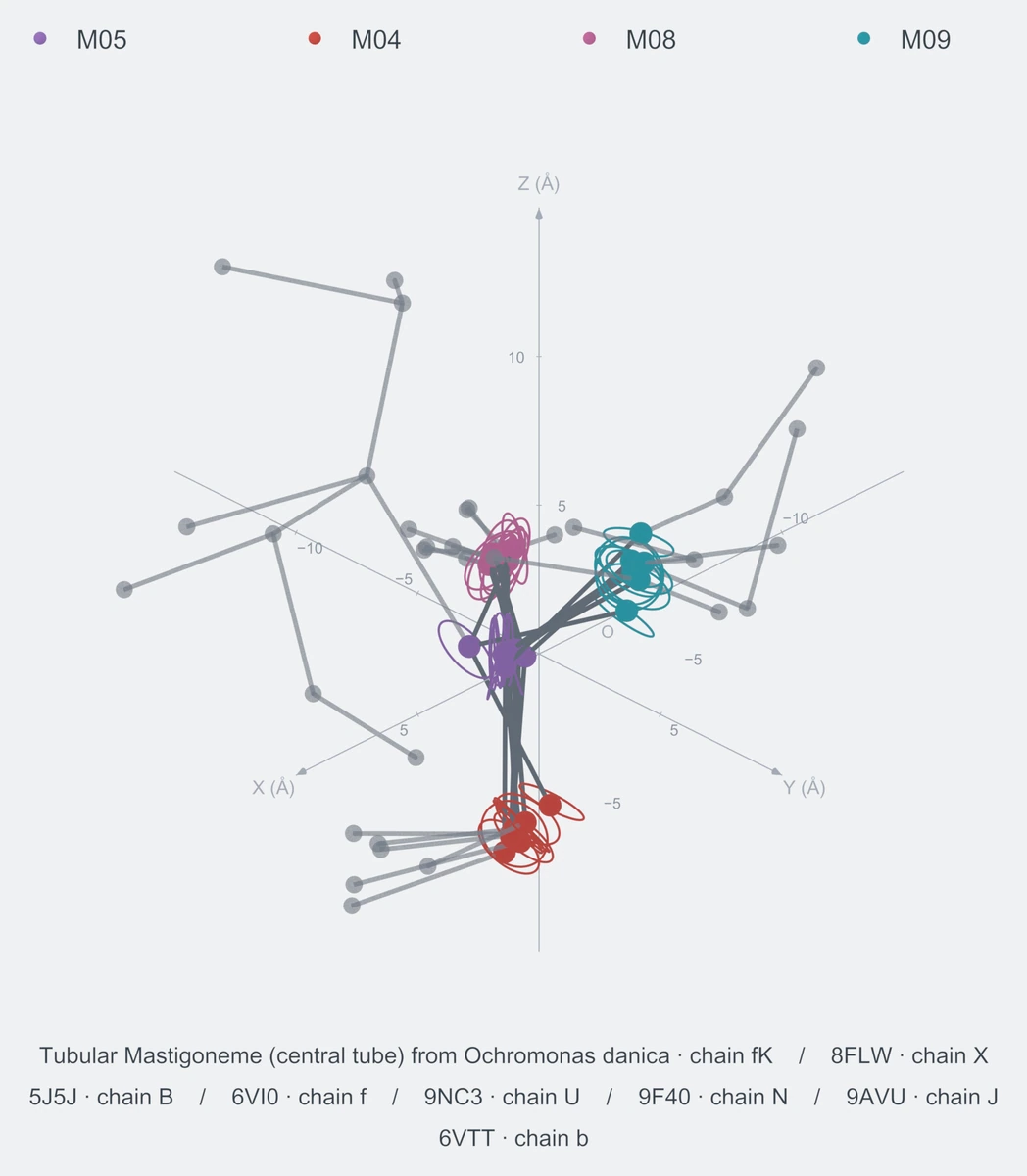 nonhomo / branch04 / Rank 02 · M05-M04-M08-M09，8 个完整糖链结构的叠加图，含 XYZ 坐标轴