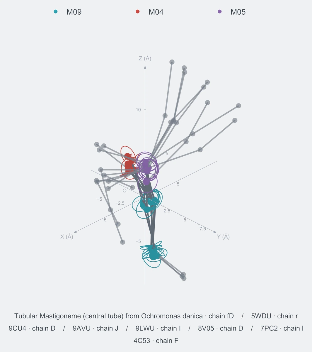 nonhomo / branch04 / Rank 05 · M09-M04-M05-M09，8 个完整糖链结构的叠加图，含 XYZ 坐标轴