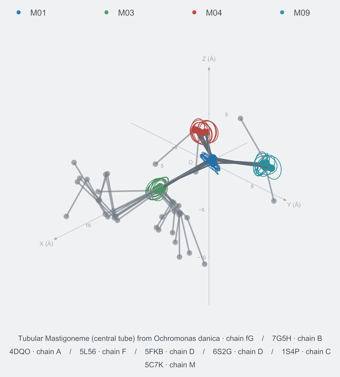 nonhomo / branch04 / Rank 07 · M01-M03-M04-M09，8 个完整糖链结构的叠加图，含 XYZ 坐标轴