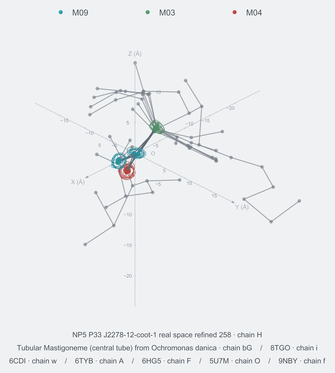 nonhomo / branch04 / Rank 08 · M09-M03-M04-M09，8 个完整糖链结构的叠加图，含 XYZ 坐标轴