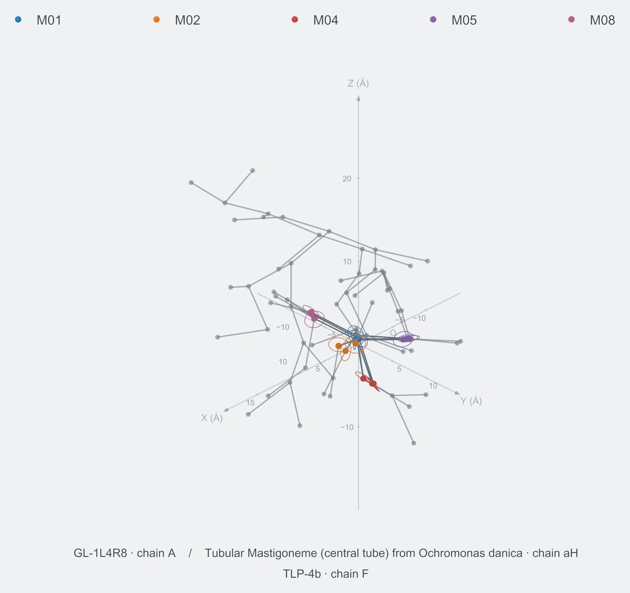 nonhomo / branch05 / Rank 04 · M01-M02-M04-M05-M08，3 个完整糖链结构的叠加图，含 XYZ 坐标轴