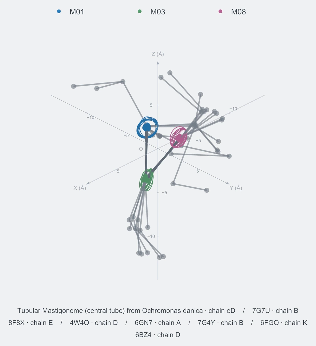 nonhomo / path03 / Rank 04 · M01-M03-M08，8 个完整糖链结构的叠加图，含 XYZ 坐标轴