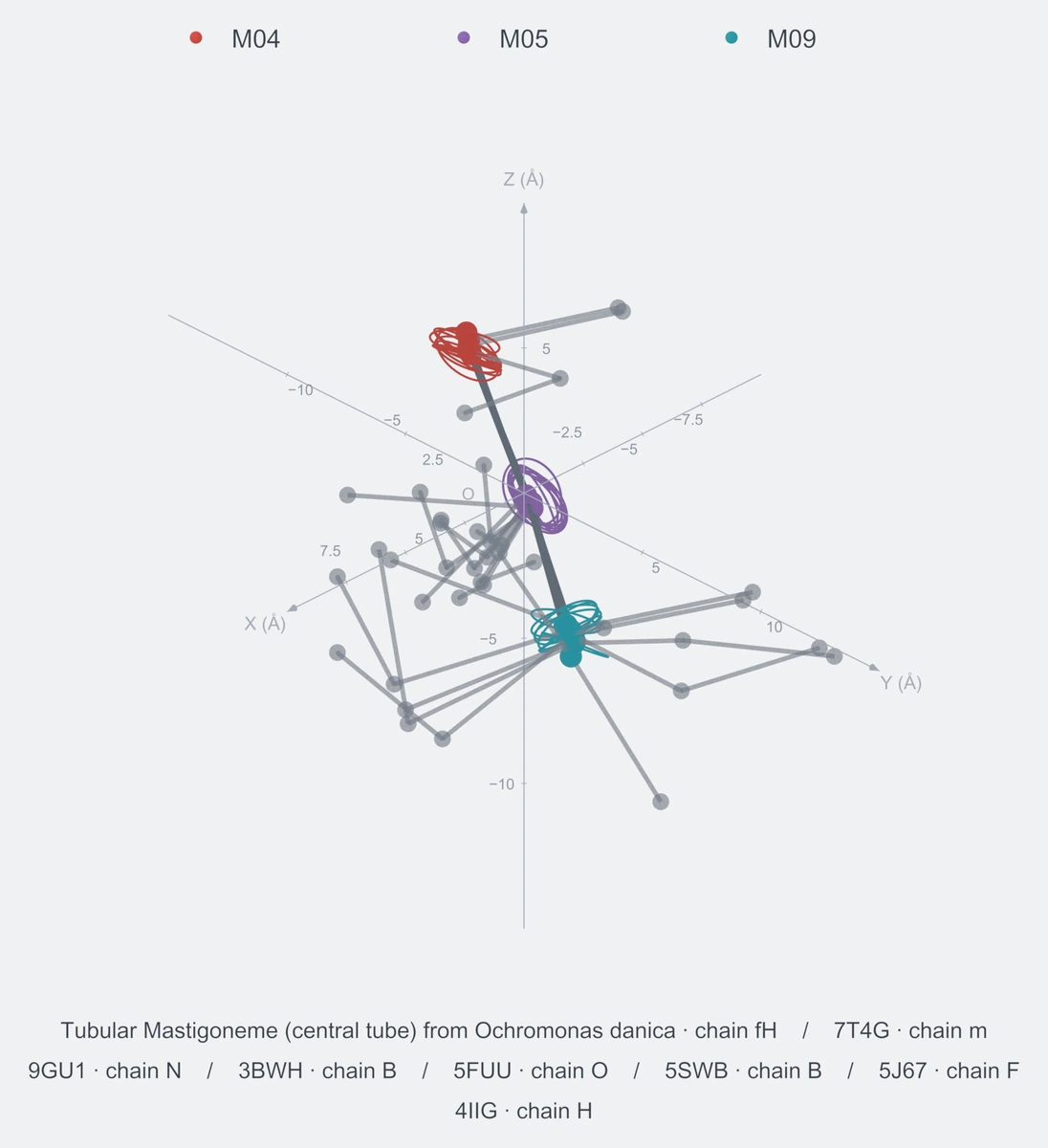 nonhomo / path03 / Rank 06 · M04-M05-M09，8 个完整糖链结构的叠加图，含 XYZ 坐标轴