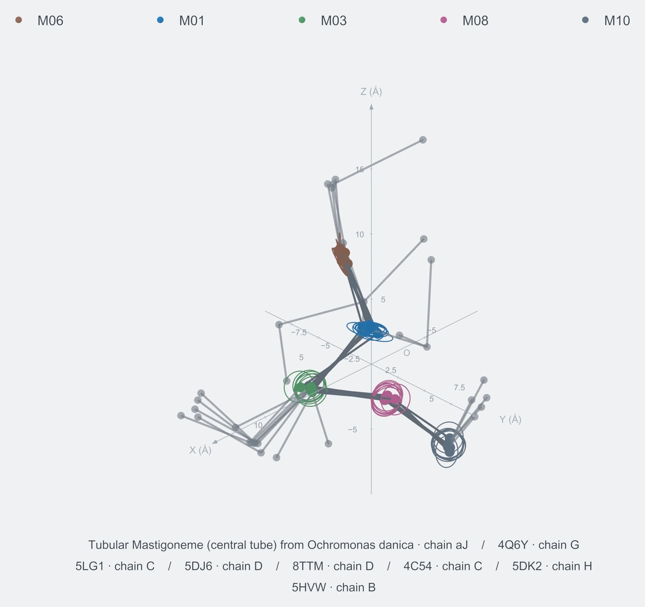 nonhomo / path05 / Rank 06 · M06-M01-M03-M08-M10，8 个完整糖链结构的叠加图，含 XYZ 坐标轴