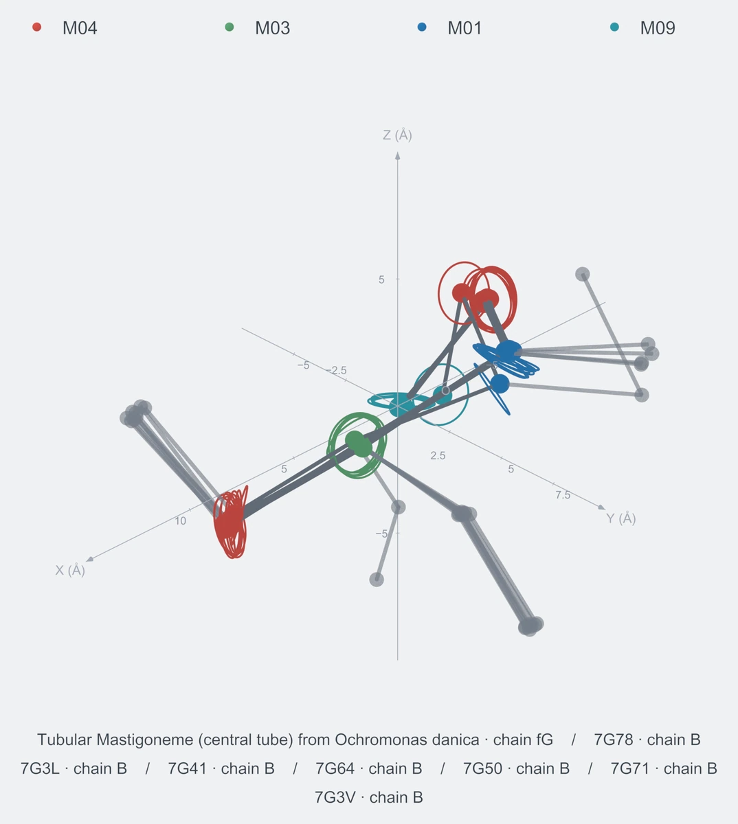 nonhomo / path05 / Rank 07 · M04-M03-M01-M04-M09，8 个完整糖链结构的叠加图，含 XYZ 坐标轴