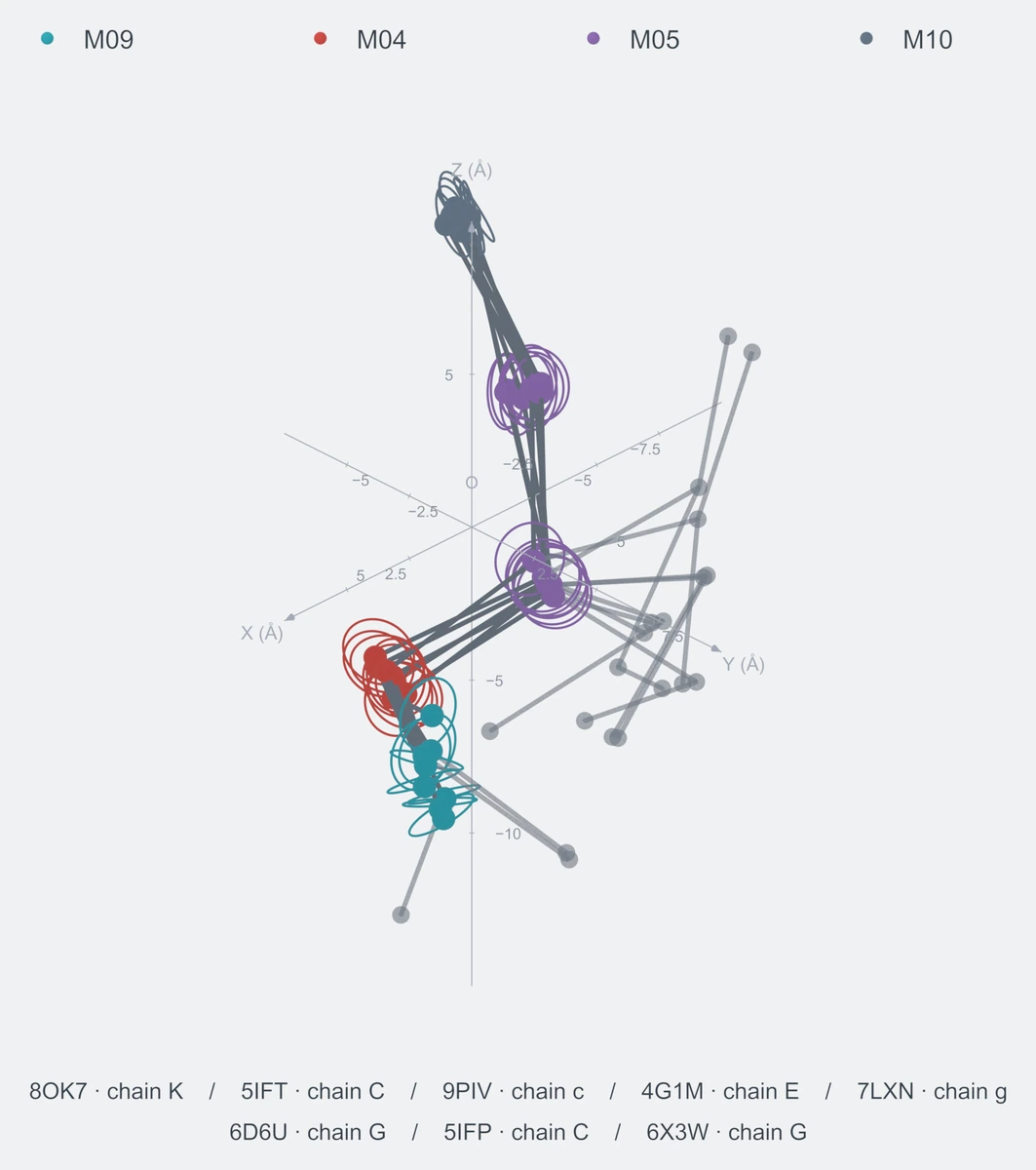 nonhomo / path05 / Rank 10 · M09-M04-M05-M05-M10，8 个完整糖链结构的叠加图，含 XYZ 坐标轴