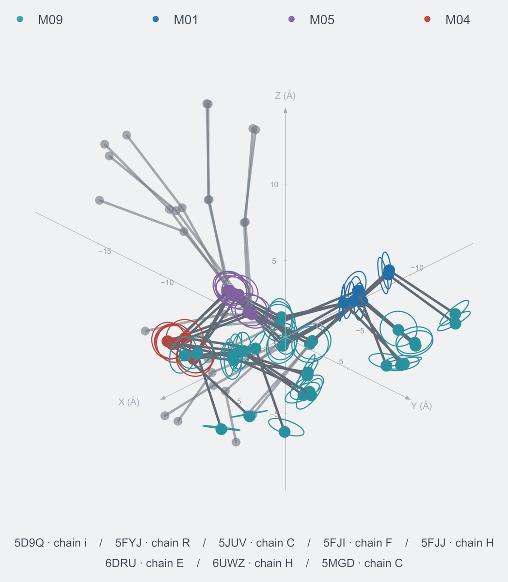 nonhomo / path07 / Rank 08 · M09-M01-M09-M05-M04-M09-M09，8 个完整糖链结构的叠加图，含 XYZ 坐标轴