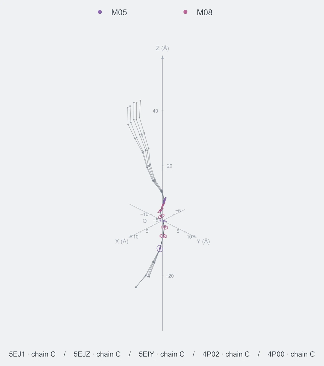 nonhomo / path08 / Rank 05 · M05-M08-M08-M05-M08-M08-M08-M05，5 个完整糖链结构的叠加图，含 XYZ 坐标轴