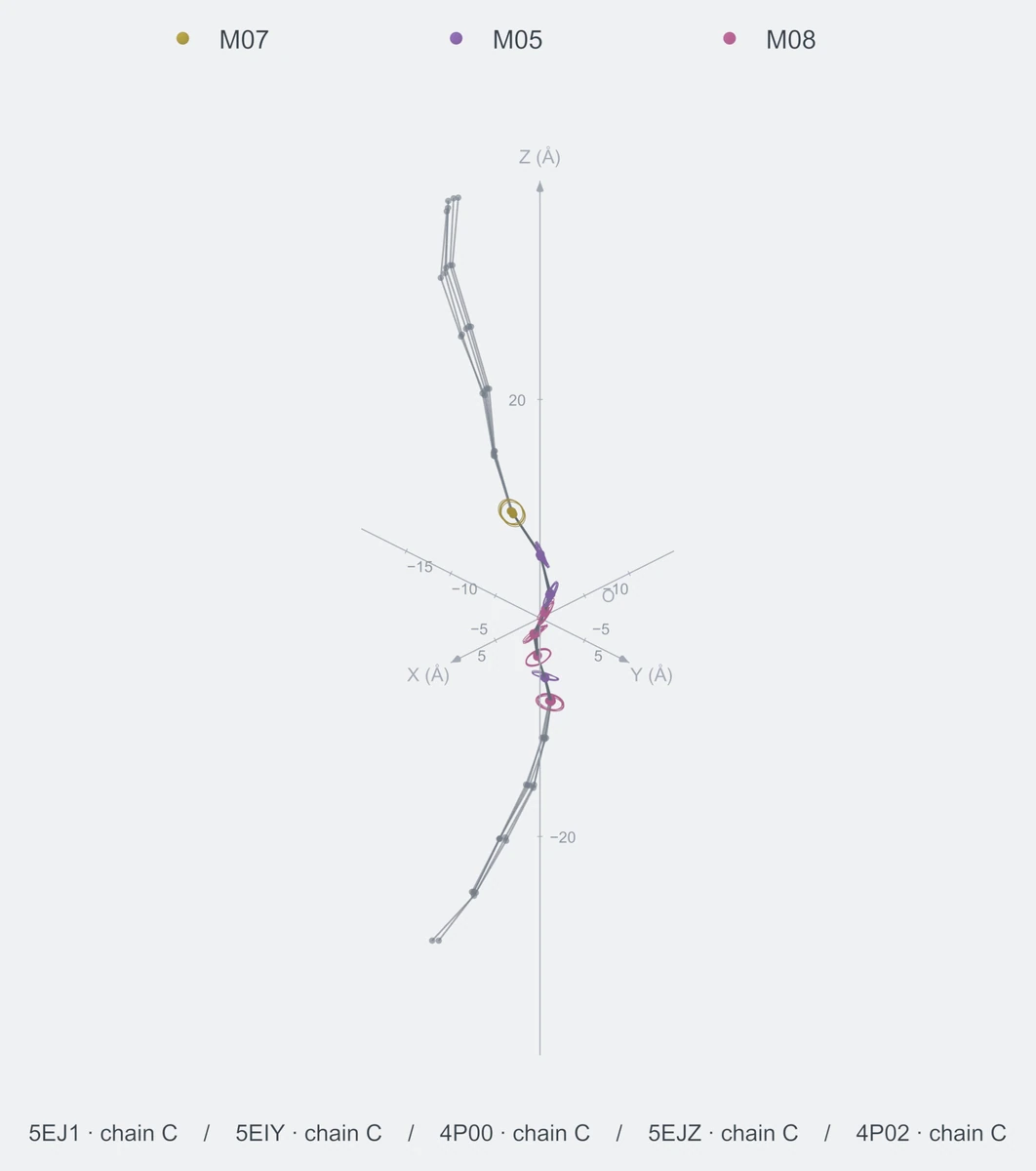 nonhomo / path08 / Rank 06 · M07-M05-M05-M08-M08-M08-M05-M08，5 个完整糖链结构的叠加图，含 XYZ 坐标轴