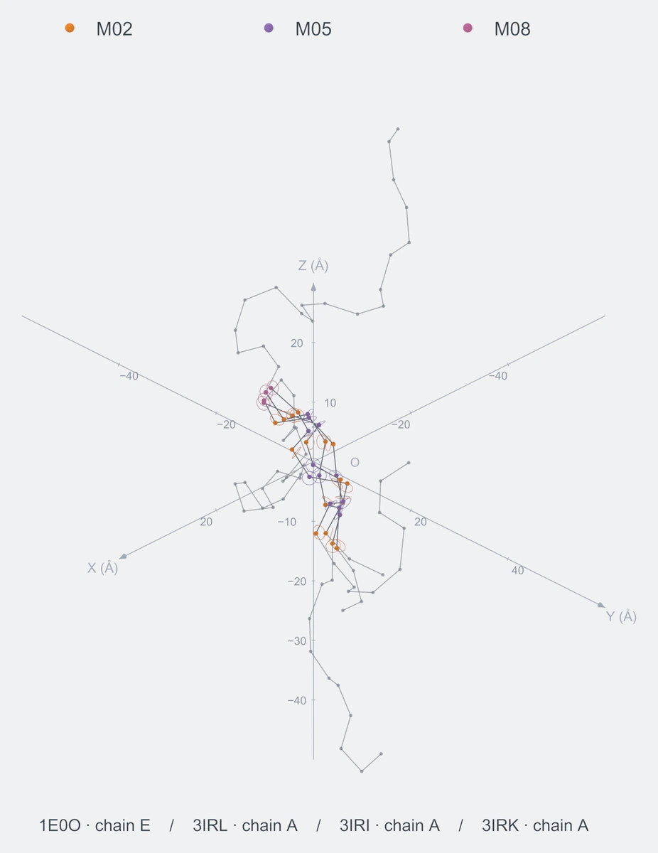 nonhomo / path08 / Rank 08 · M02-M05-M02-M05-M02-M05-M02-M08，4 个完整糖链结构的叠加图，含 XYZ 坐标轴
