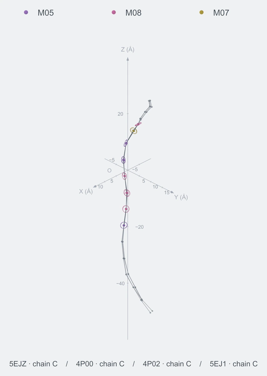 nonhomo / path08 / Rank 10 · M05-M08-M08-M08-M05-M05-M07-M08，4 个完整糖链结构的叠加图，含 XYZ 坐标轴