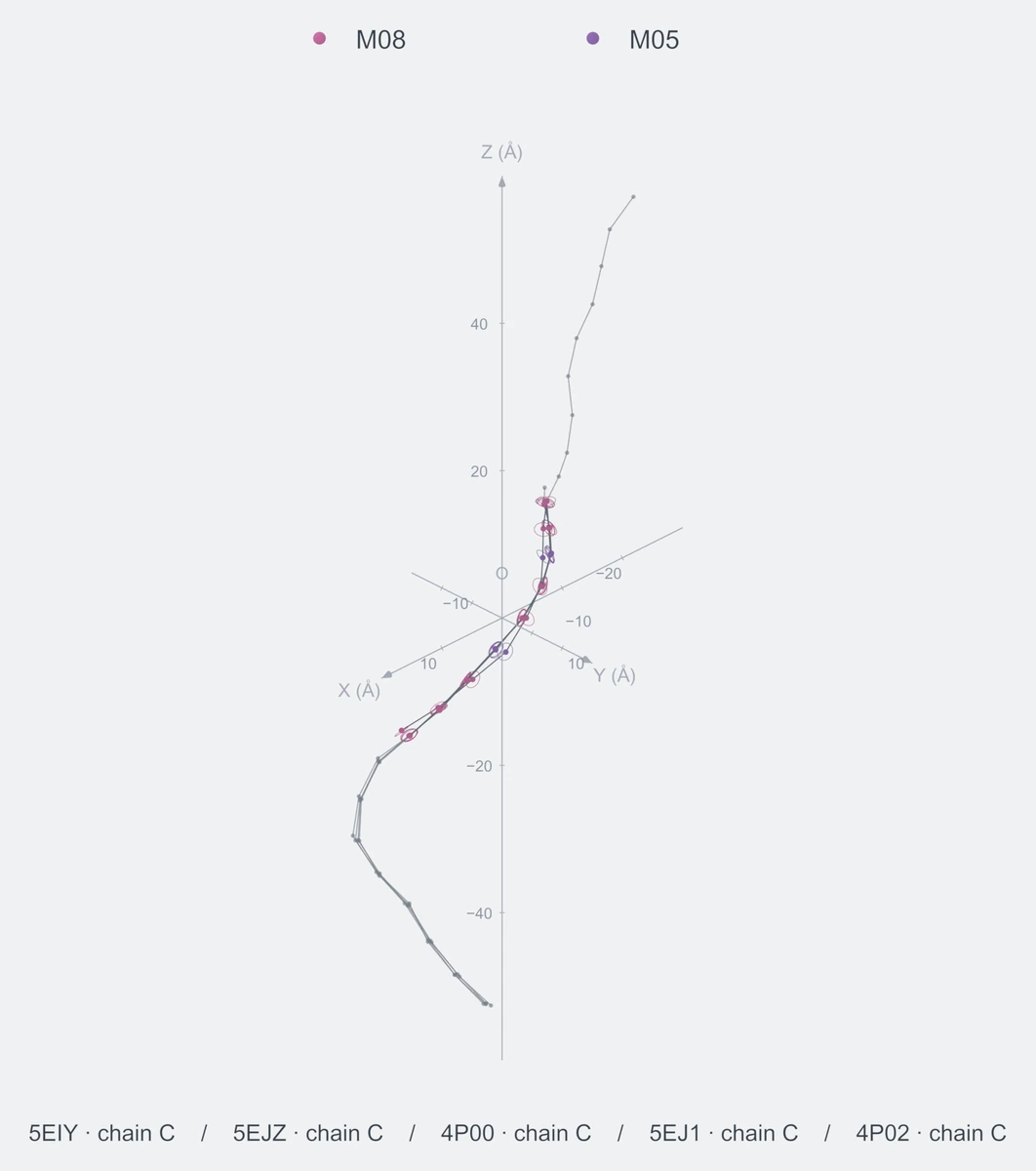 nonhomo / path09 / Rank 01 · M08-M08-M05-M08-M08-M05-M08-M08-M08，5 个完整糖链结构的叠加图，含 XYZ 坐标轴