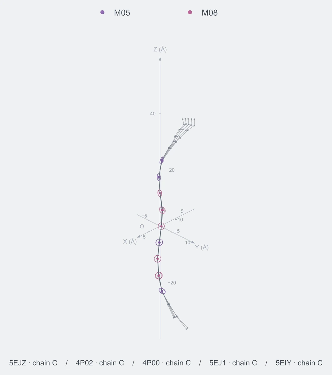 nonhomo / path09 / Rank 02 · M05-M05-M08-M08-M08-M05-M08-M08-M05，5 个完整糖链结构的叠加图，含 XYZ 坐标轴