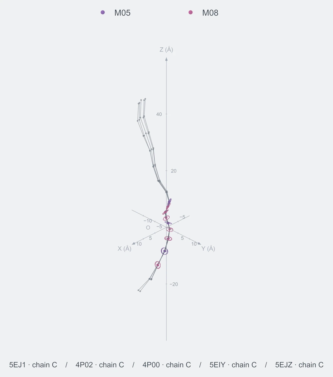 nonhomo / path09 / Rank 03 · M05-M08-M08-M08-M05-M08-M08-M05-M08，5 个完整糖链结构的叠加图，含 XYZ 坐标轴