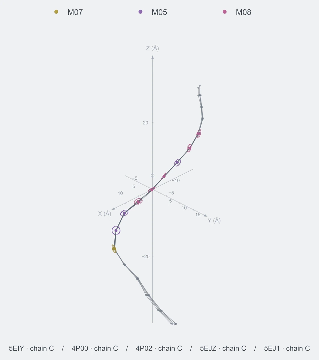 nonhomo / path09 / Rank 04 · M07-M05-M05-M08-M08-M08-M05-M08-M08，5 个完整糖链结构的叠加图，含 XYZ 坐标轴