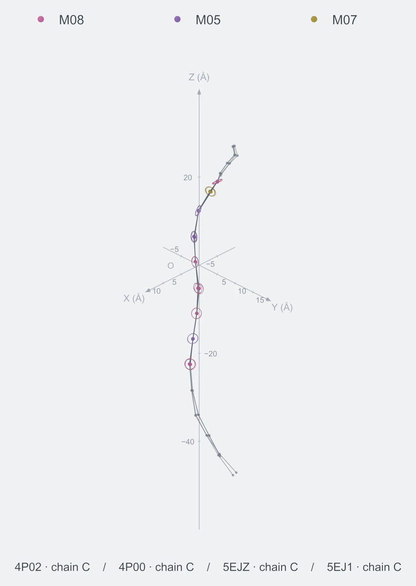 nonhomo / path09 / Rank 07 · M08-M05-M08-M08-M08-M05-M05-M07-M08，4 个完整糖链结构的叠加图，含 XYZ 坐标轴
