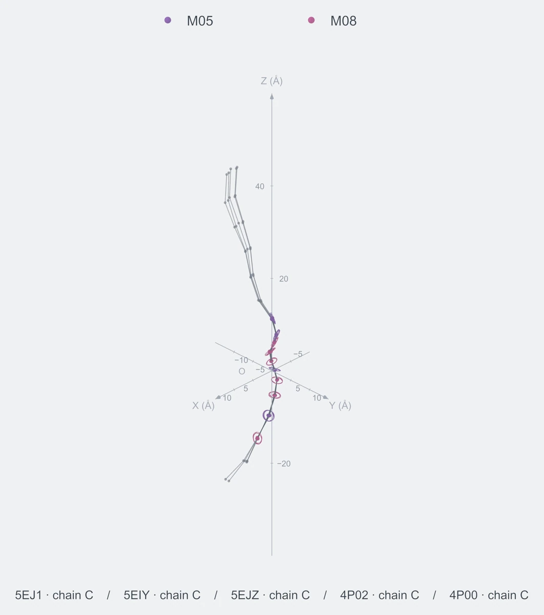 nonhomo / path10 / Rank 01 · M05-M05-M08-M08-M08-M05-M08-M08-M05-M08，5 个完整糖链结构的叠加图，含 XYZ 坐标轴