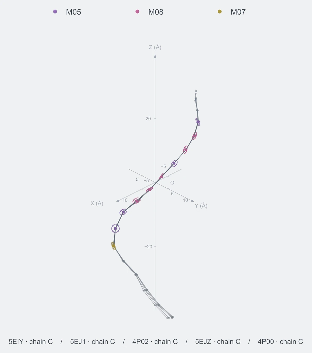 nonhomo / path10 / Rank 02 · M05-M08-M08-M05-M08-M08-M08-M05-M05-M07，5 个完整糖链结构的叠加图，含 XYZ 坐标轴