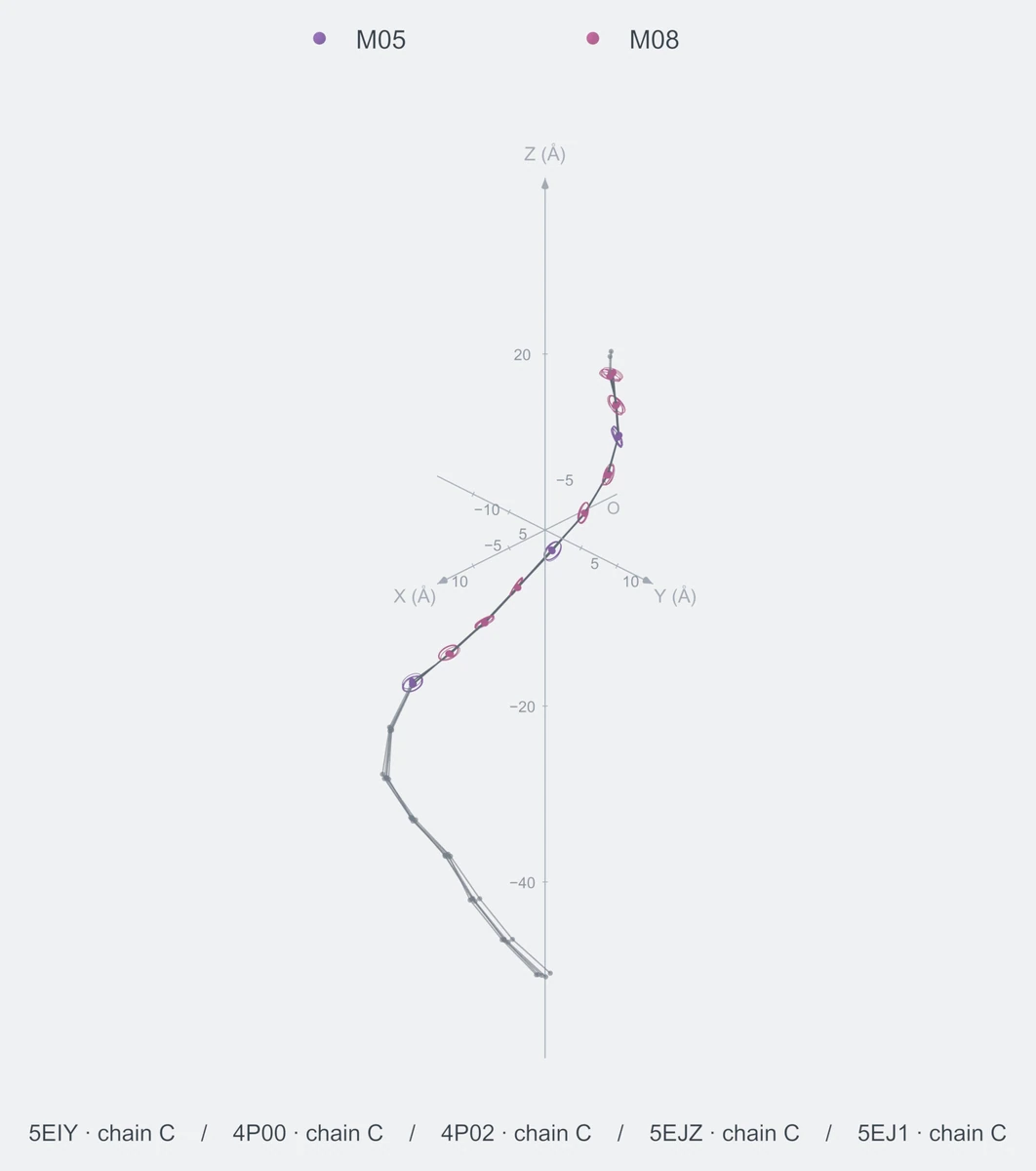 nonhomo / path10 / Rank 03 · M05-M08-M08-M08-M05-M08-M08-M05-M08-M08，5 个完整糖链结构的叠加图，含 XYZ 坐标轴