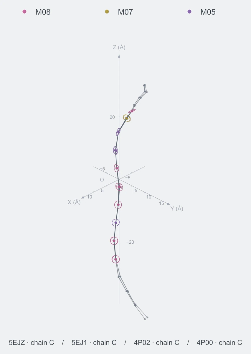 nonhomo / path10 / Rank 04 · M08-M07-M05-M05-M08-M08-M08-M05-M08-M08，4 个完整糖链结构的叠加图，含 XYZ 坐标轴