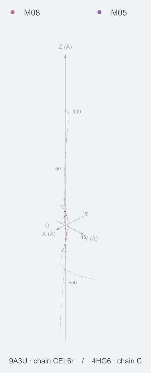 nonhomo / path10 / Rank 10 · M08-M08-M08-M05-M08-M08-M08-M08-M08-M08，2 个完整糖链结构的叠加图，含 XYZ 坐标轴
